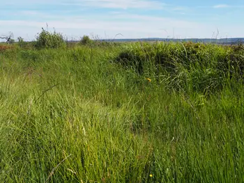 Signal de Botrange (België)